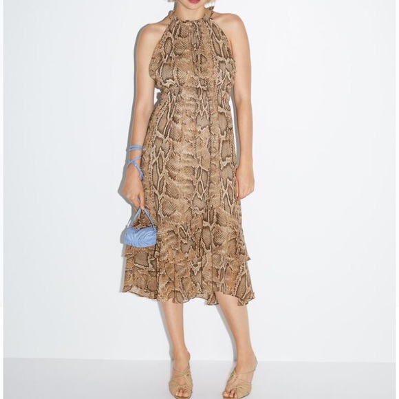 snake dress zara